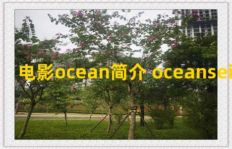 电影ocean简介 oceanseight电影演员表